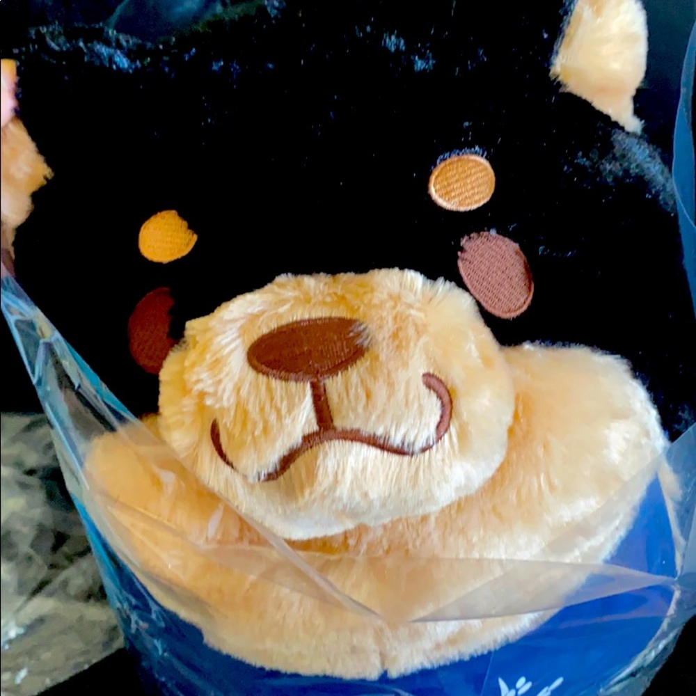 Hachiko plushy original japan